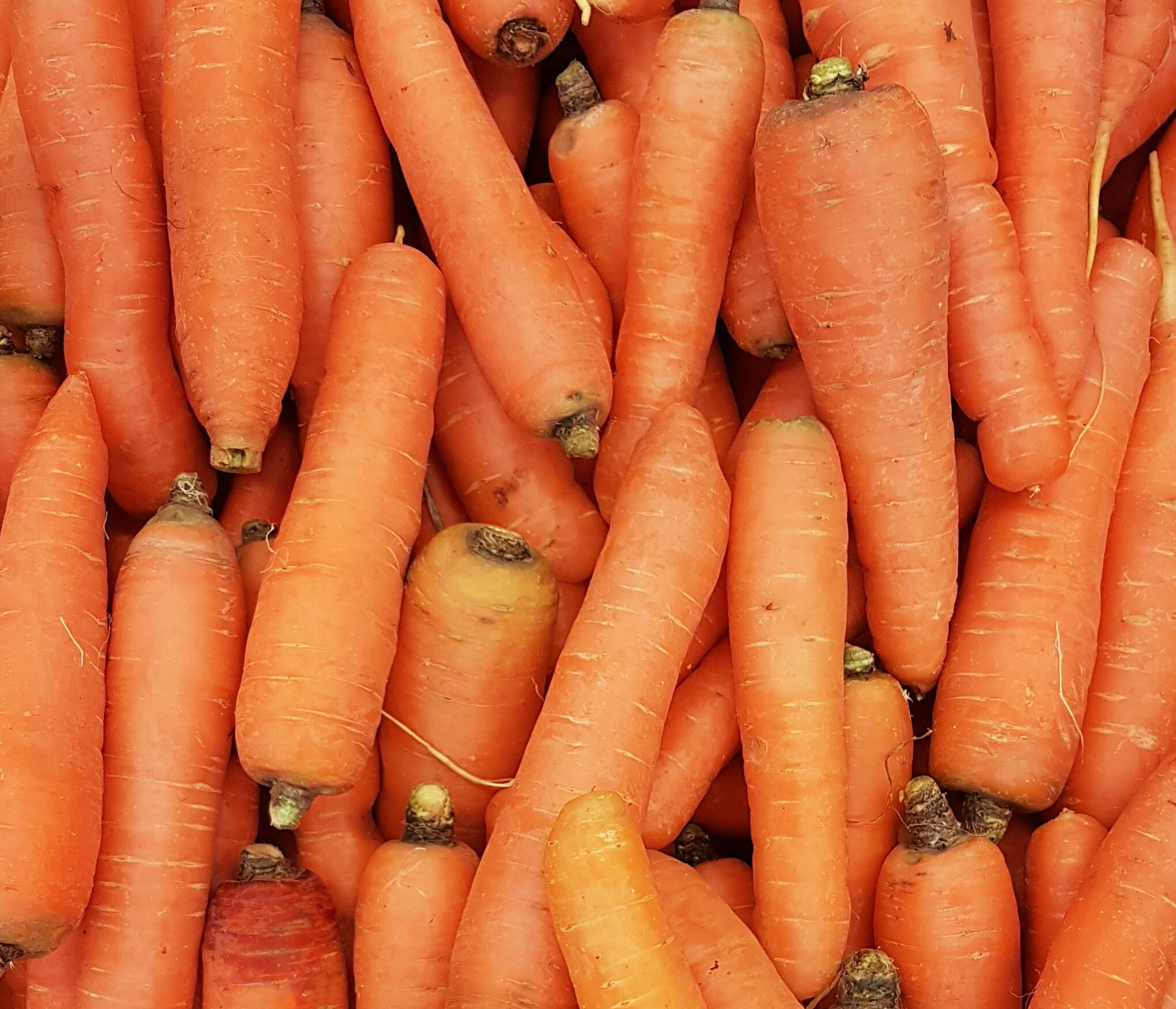 Carrots