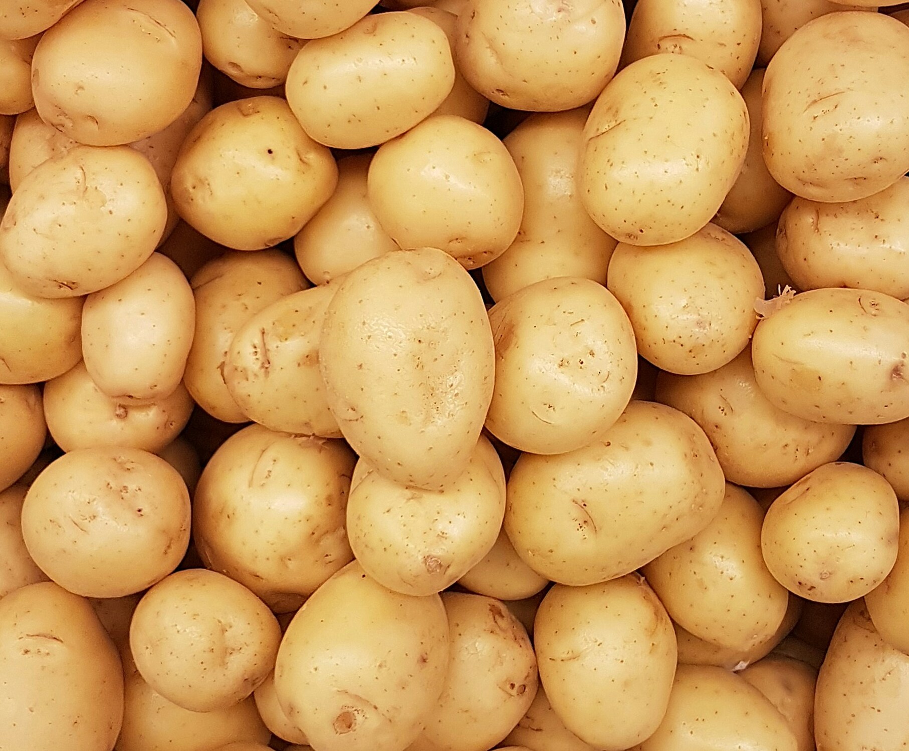 Potatoes
